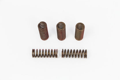 PRO CIRCUIT CLUTCH SPRING SET FOR HONDA CSH20250-CS