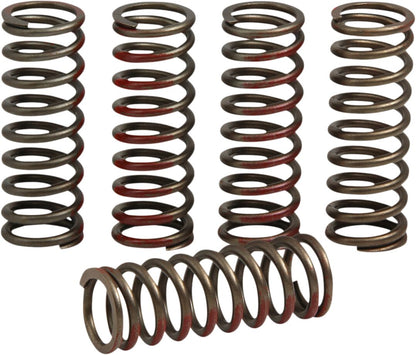 PRO CIRCUIT CLUTCH SPRING SET FOR HONDA CSH20250-CS