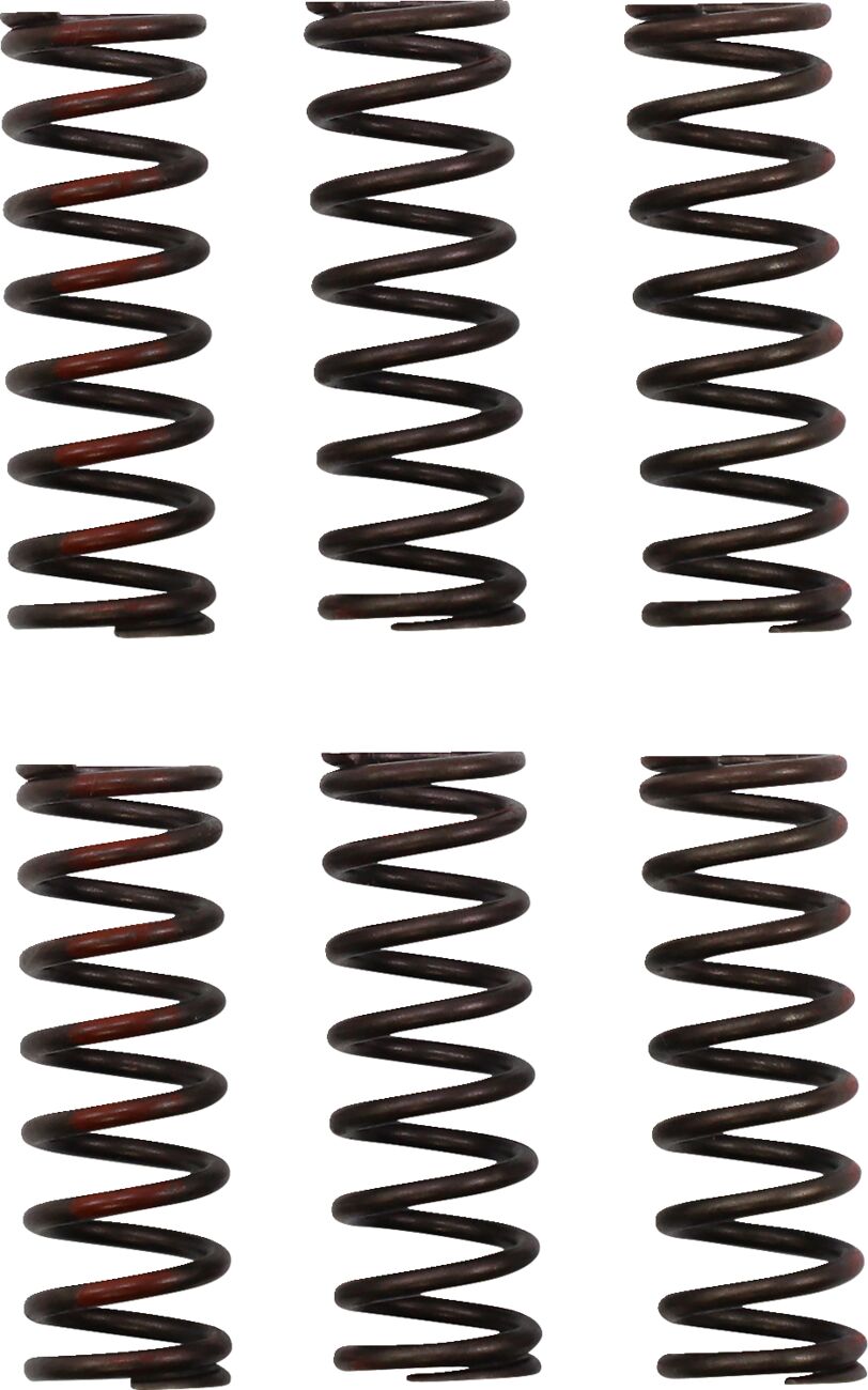 PRO CIRCUIT CLUTCH SPRING CRF450R CSH21450-CS