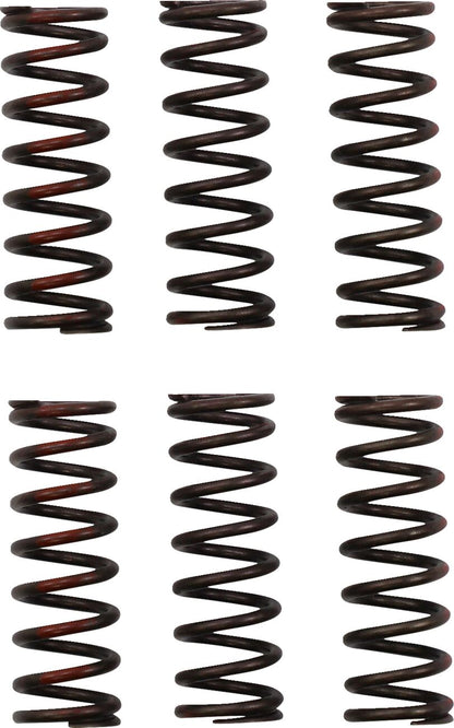 PRO CIRCUIT CLUTCH SPRING CRF450R CSH21450-CS