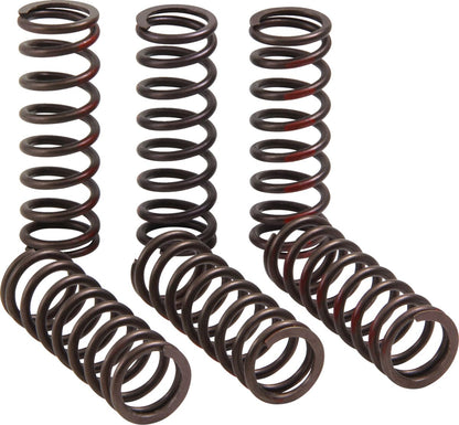 PRO CIRCUIT CLUTCH SPRING CRF450R CSH21450-CS