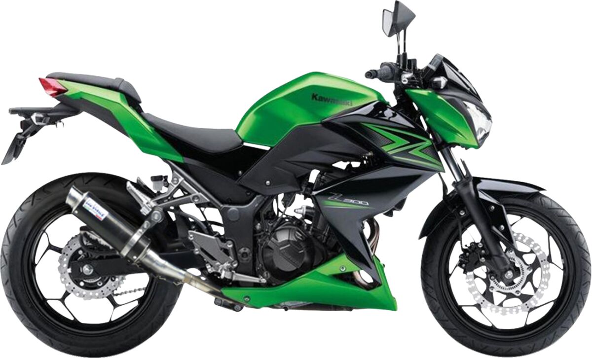 LEOVINCE SLIP ON GPCORSA NINJA300R 3293U