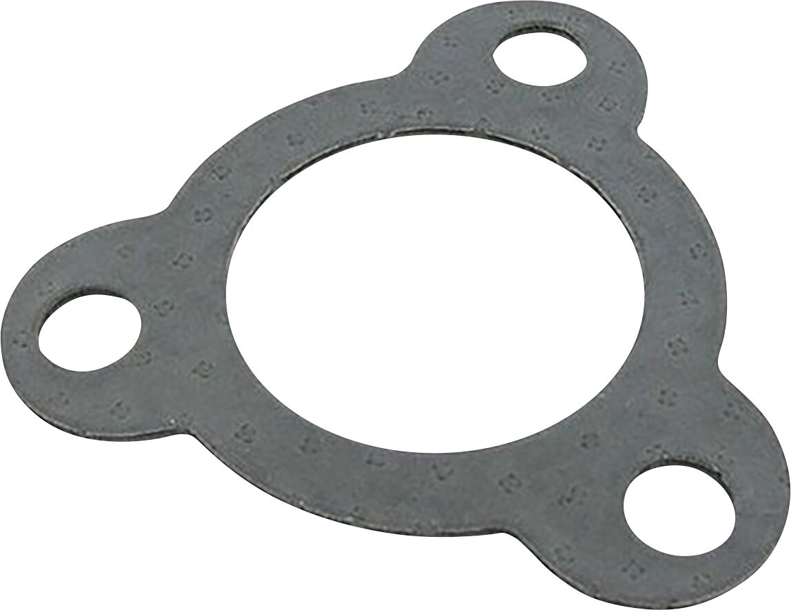 LEOVINCE KIT GASKET GRAF 3 HOLES 200315R