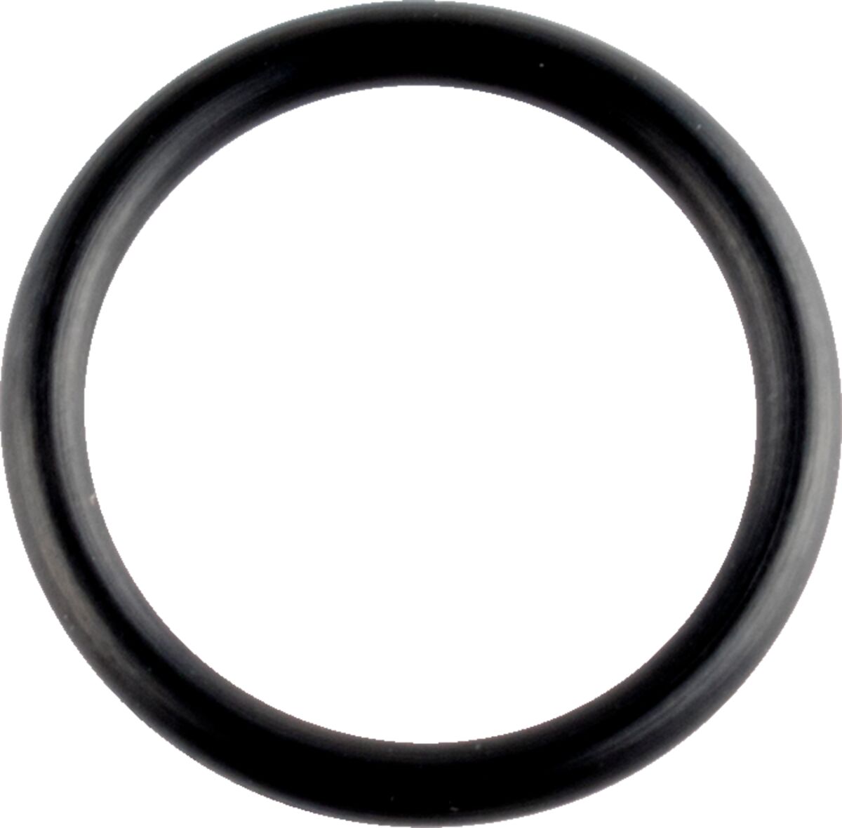 WSM ORING CRANKCASE 008-600-04