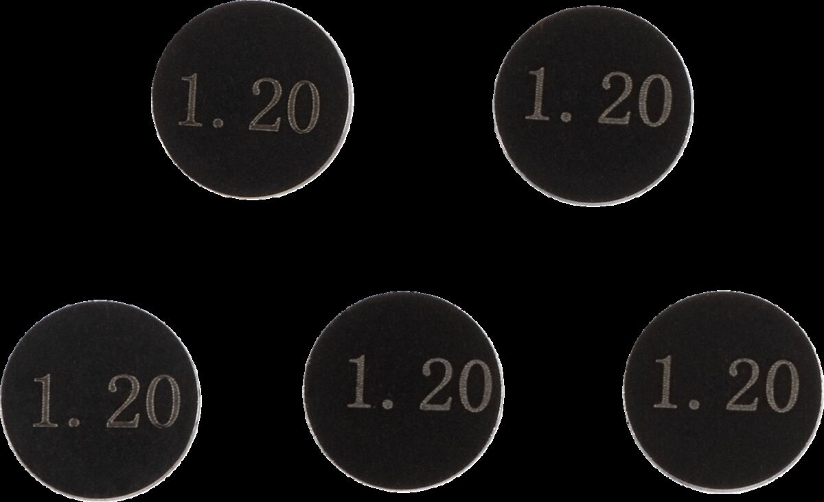 PROX VALVE SHIM 7.48X1.20 5 PCS REFILL KIT 29.748120
