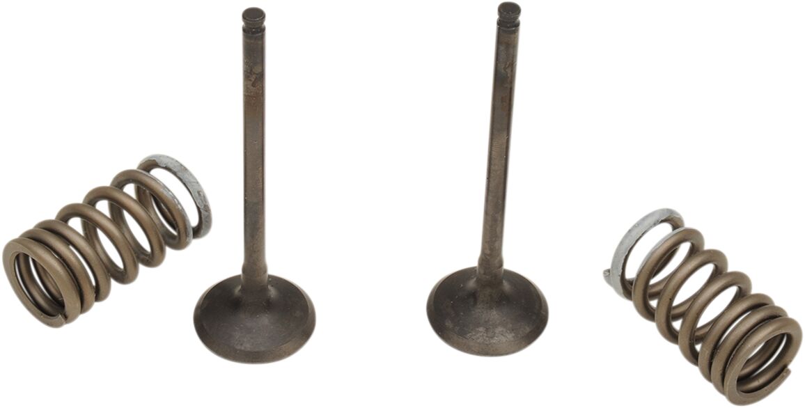 PROX VALVE AND SPRING EXHAUST KIT 28.SES3338-1