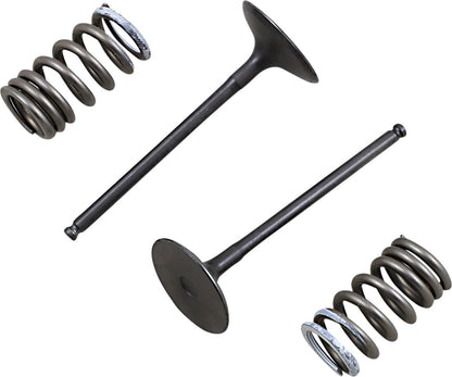 PROX VALVE IN/SPRING KIT RM-Z250 28.SIS3338-2