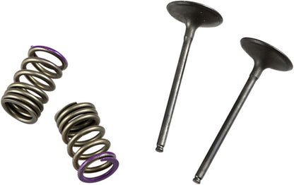 PROX VALVE AND SPRING INTAKE KIT 28.SIS4336-2
