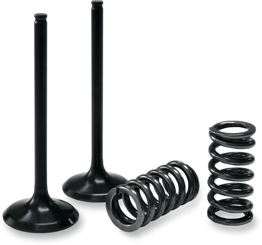 PROX VALVE AND SPRING INTAKE KIT 28.SIS4336-2