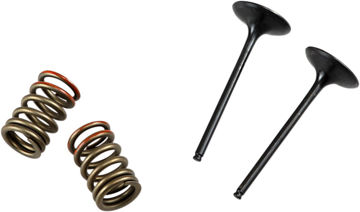 PROX VALVE AND SPRING INTAKE KIT 28.SIS4341-2