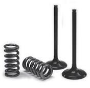 PROX VALVE AND SPRING EXHAUST KIT 28.SES6334-1