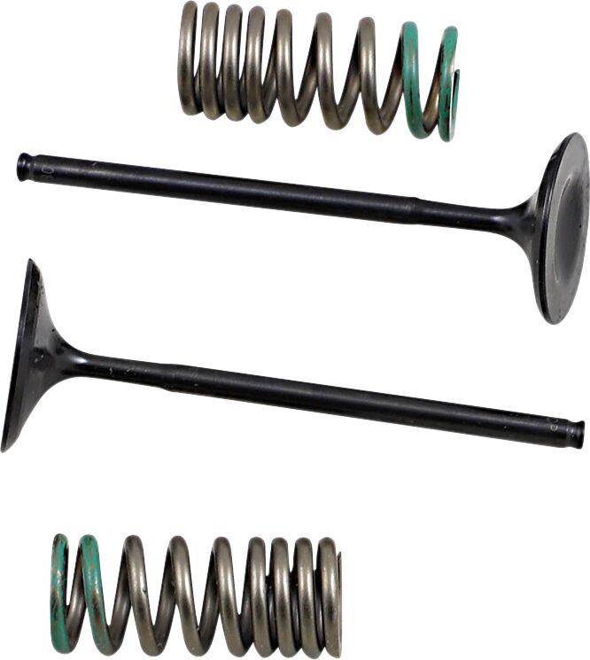 PROX VALVE AND SPRING INTAKE KIT 28.SIS1340-2
