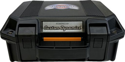 CUSTOM DYNAMICS TEST CASE FOR CUSTOM DYNAMICS LIGHT EU TEST-CASE-EU