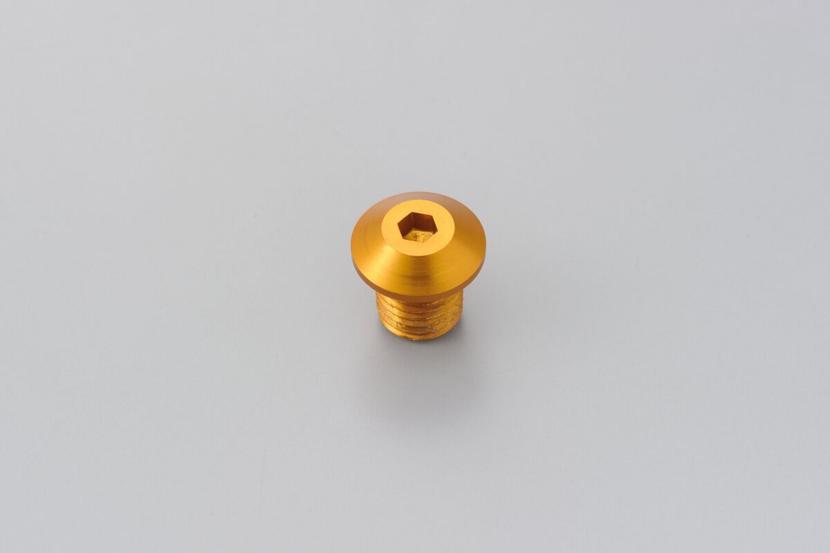 DAYTONA MIRROR PLUG BOLT GD RIGHT 99798