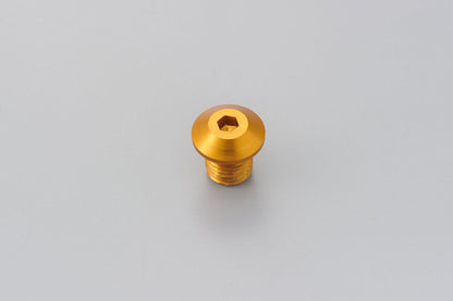 DAYTONA MIRROR PLUG BOLT GD RIGHT 99798