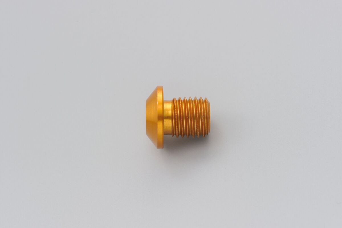 DAYTONA MIRROR PLUG BOLT GD RIGHT 99798
