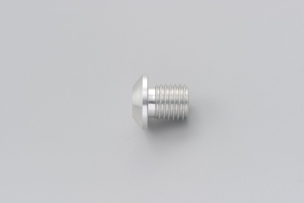 DAYTONA MIRROR PLUG BOLT SV LEFT 99615