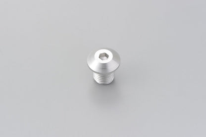 DAYTONA MIRROR PLUG BOLT SV RIGHT 99614