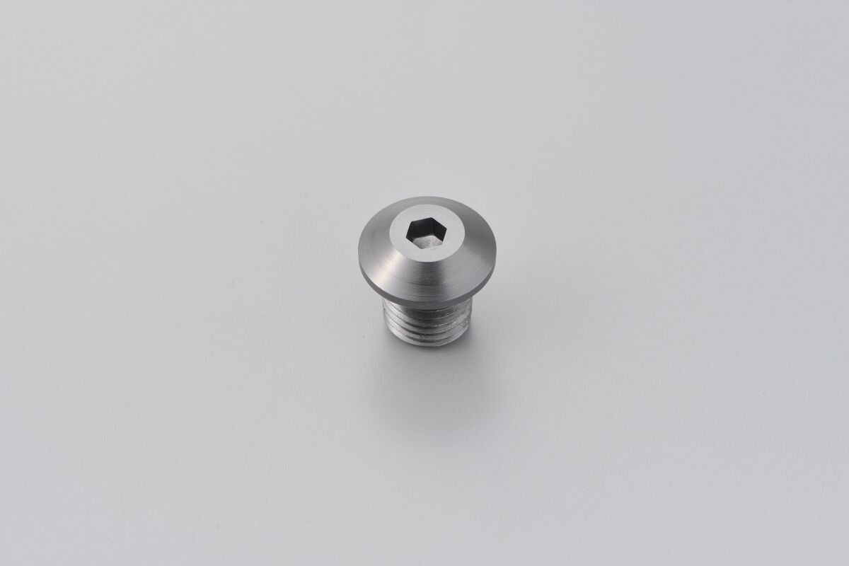 DAYTONA MIRROR PLUG BOLT GREY LEFT 99619