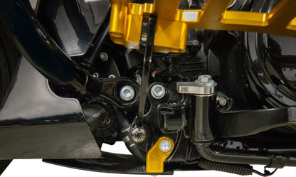 THRASHIN SUPPLY CO PLATE SKID CARBON GLOSS W/GOLD 2024 FLHX FLTRX TSC-3034-5