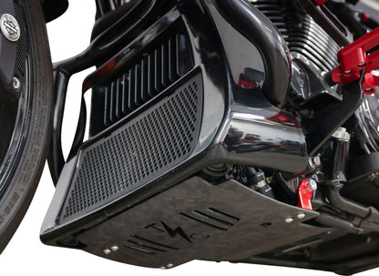 THRASHIN SUPPLY CO PLATE SKID CARBON FORGED W/RED 2024 FLHX FLTRX TSC-3035-2