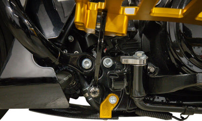 THRASHIN SUPPLY CO PLATE SKID CARBON FORGED W/GOLD 2024 FLHX FLTRX TSC-3035-5