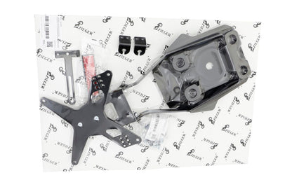 ZIEGER LICENSE PLATE HOLDER PRO TYPE E MULTISTRADA V4 10010325
