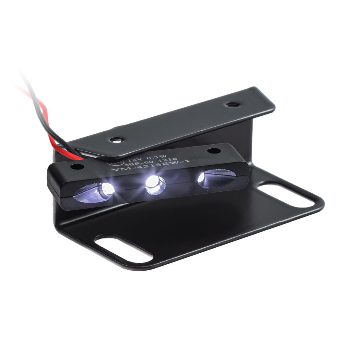 ZIEGER LICENSE PLATE HOLDER PRO TYPE E STREET TRIPLE 765R 10010249