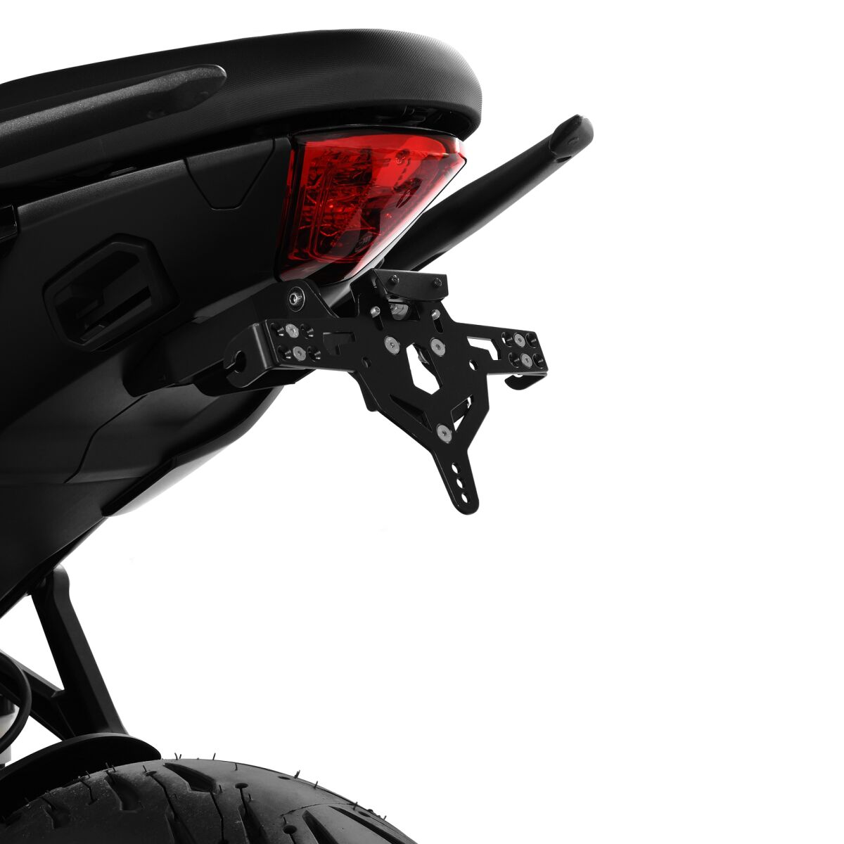 ZIEGER LICENSE PLATE HOLDER PRO TYPE D TIGER SPORT 660 10010201