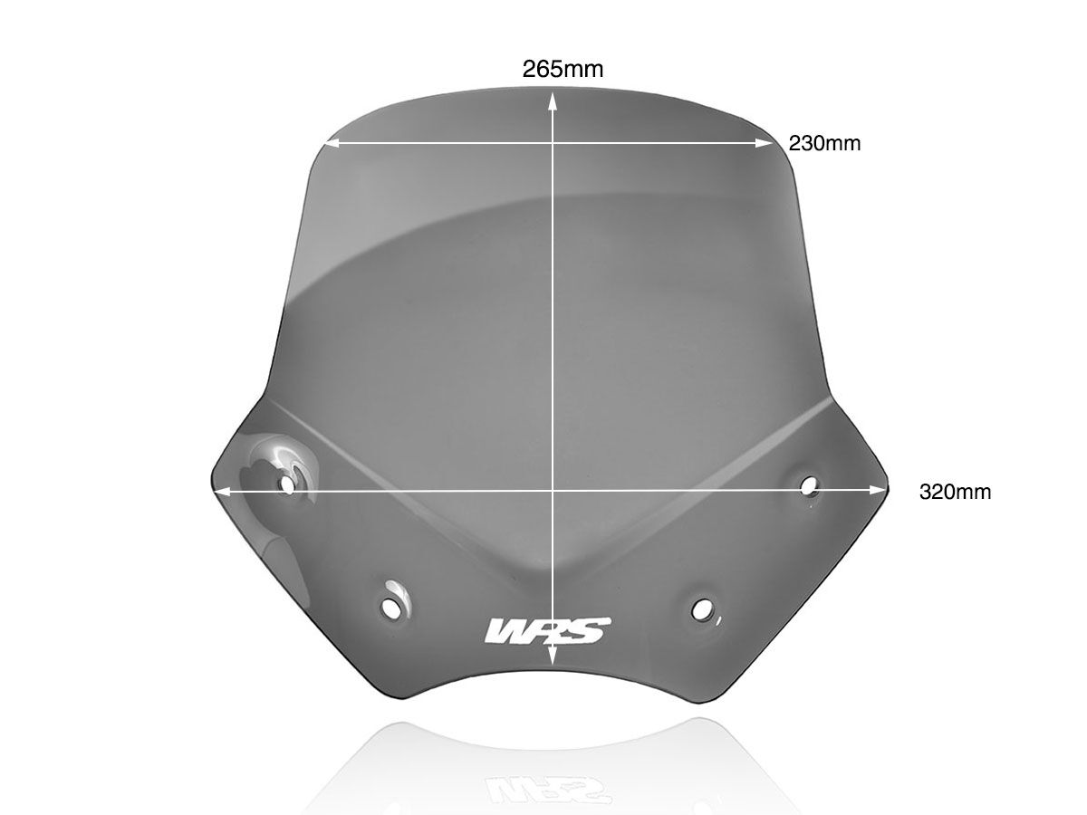 WRS WINDSCREEN SPORT R1200R DARK S BM046FS