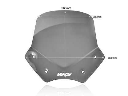 WRS WINDSCREEN SPORT R1200R DARK S BM046FS