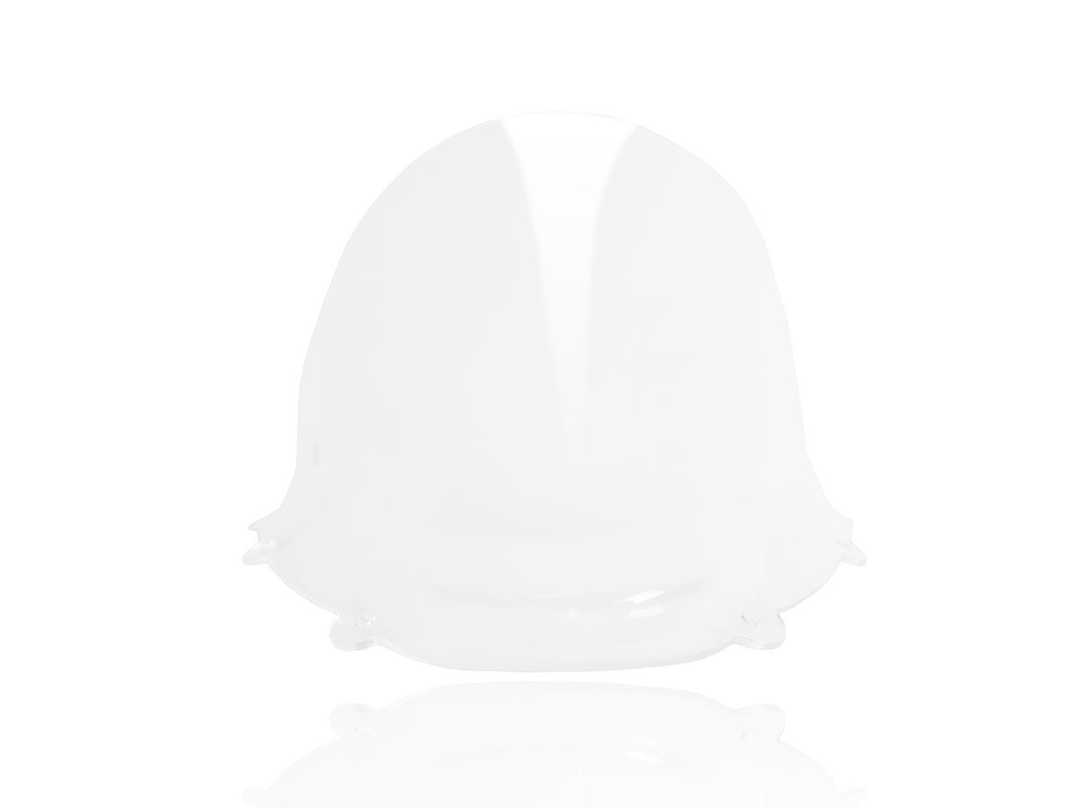 WRS WINDSCREEN RACE PANIGALE 1299/ DU011T