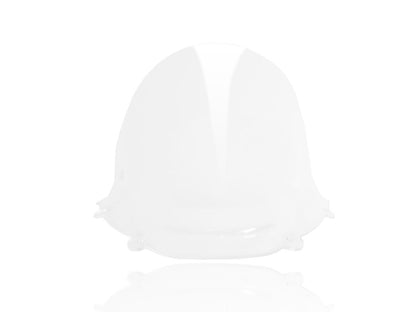 WRS WINDSCREEN RACE PANIGALE 1299/ DU011T