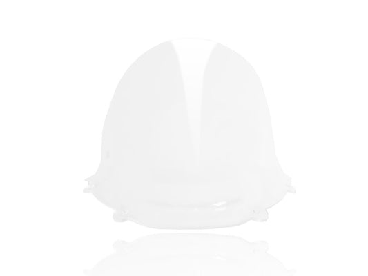 WRS WINDSCREEN RACE PANIGALE 1299/ DU011T