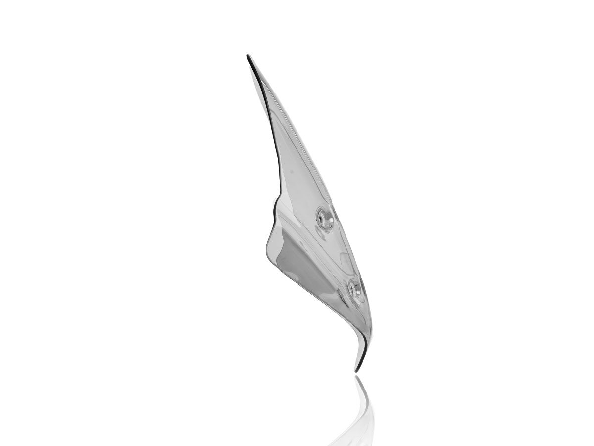 WRS WINDSCREEN STANDARD R1250R SMO BM055F