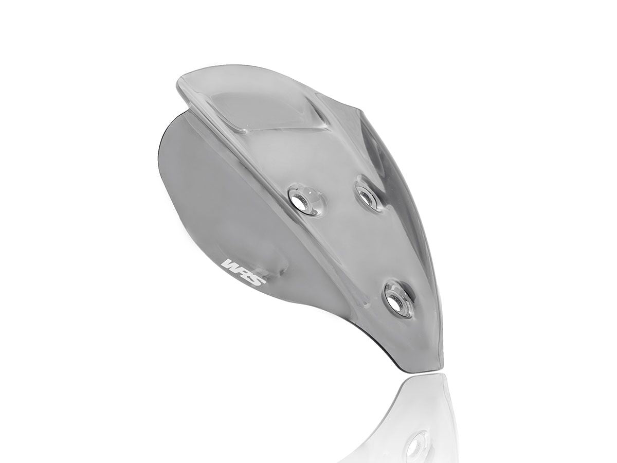 WRS WINDSCREEN SPORT STREETFIGHTER DU015FS