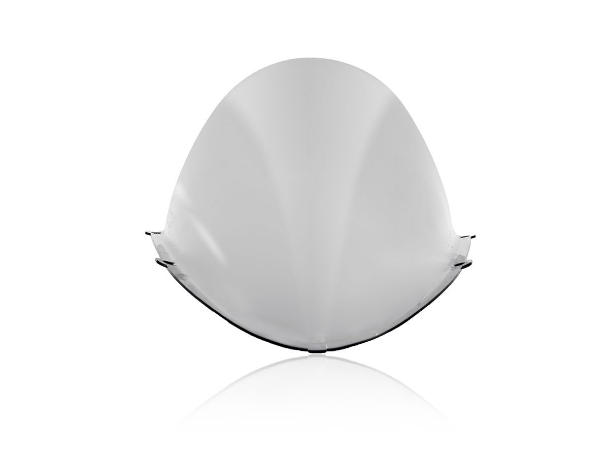 WRS WINDSCREEN RACE RS660 SMOKE AP004F