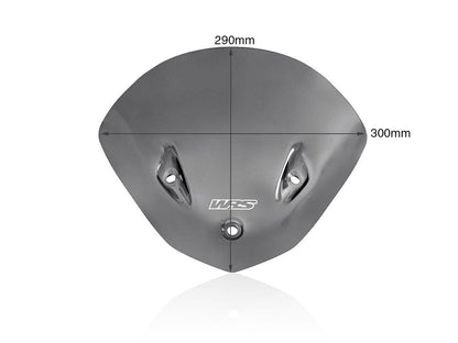 WRS WINDSCREEN SPORT S1000R DARK S BM068FS