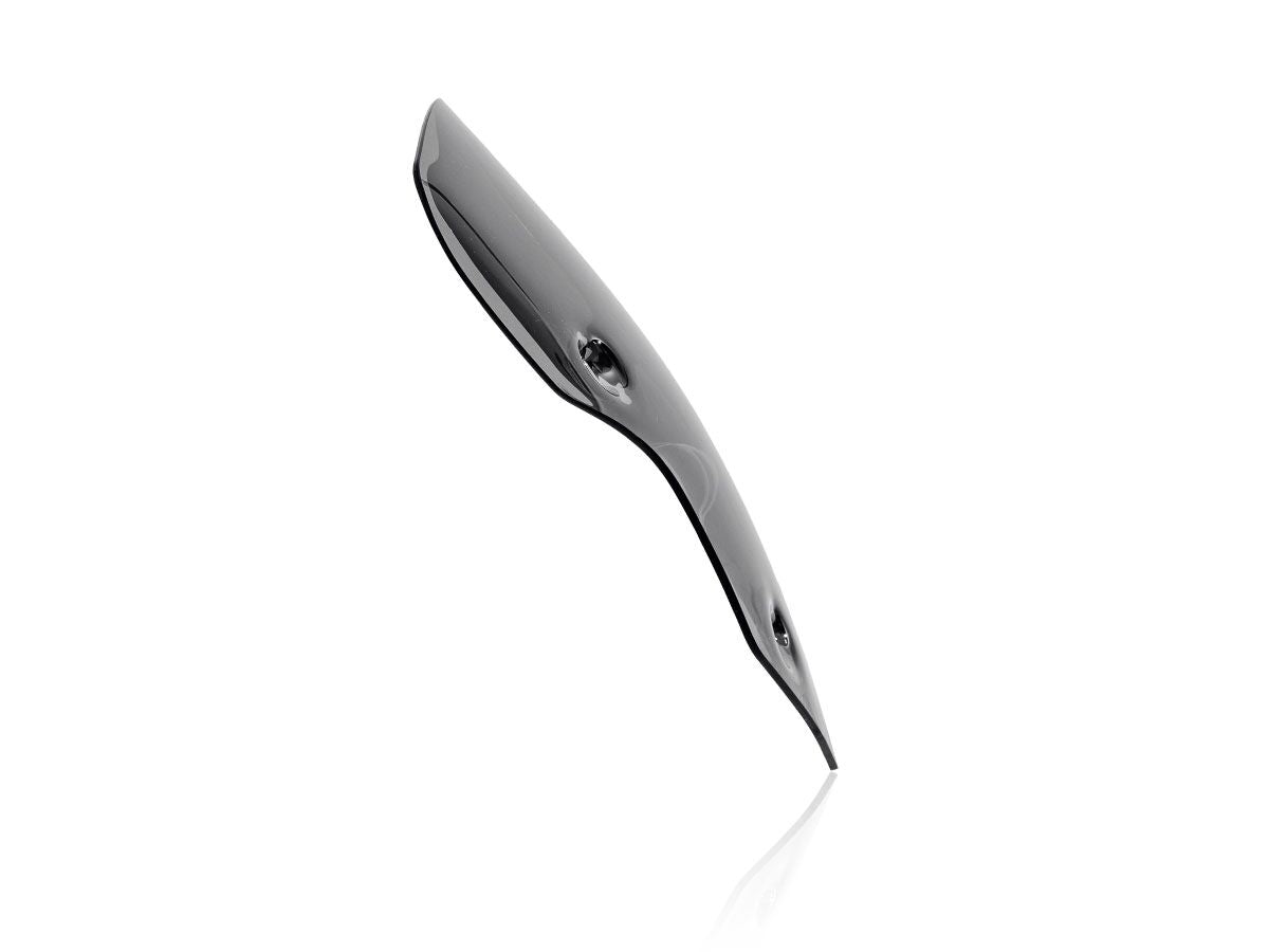 WRS WINDSCREEN SPORT TIGER900 DARK TR004FS