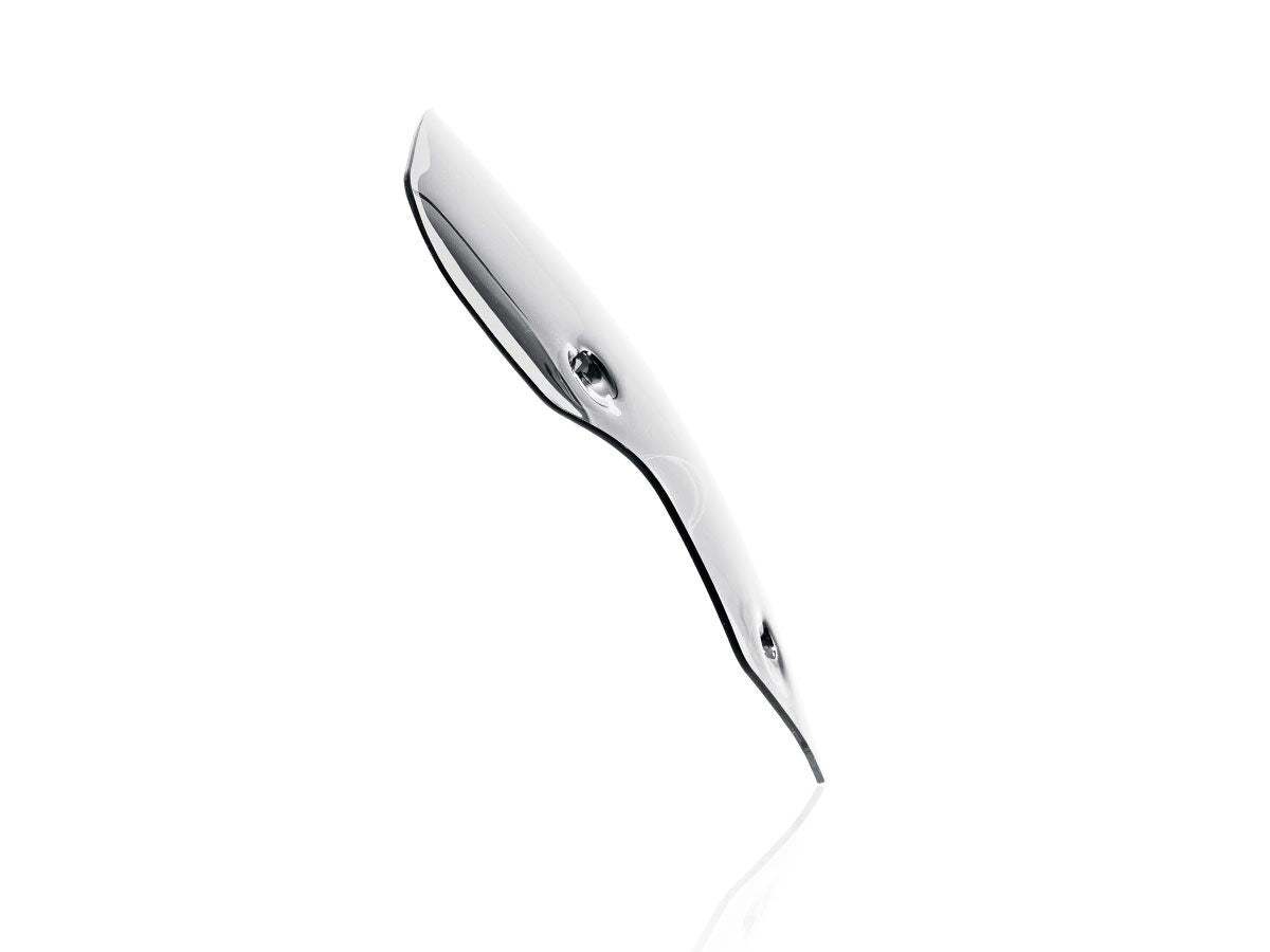 WRS WINDSCREEN SPORT TIGER900 CLEA TR004T