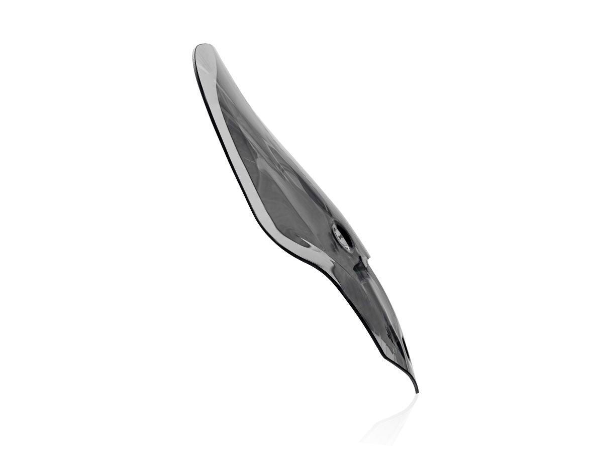 WRS WINDSCREEN TOURING TIGER 1200 TR005F