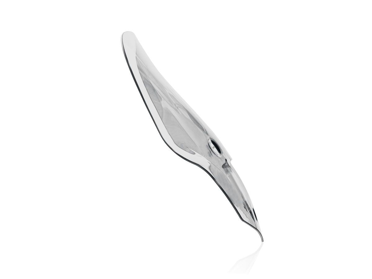WRS WINDSCREEN TOURING TIGER 1200 TR005T