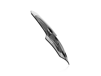 WRS WINDSCREEN SPORT TIGER 1200 SM TR006F