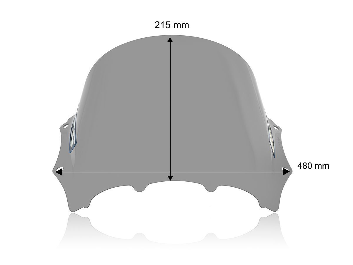WRS WINDSCREEN RACE M1000RR SMOKE BM100F