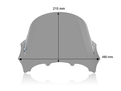 WRS WINDSCREEN RACE M1000RR SMOKE BM100F