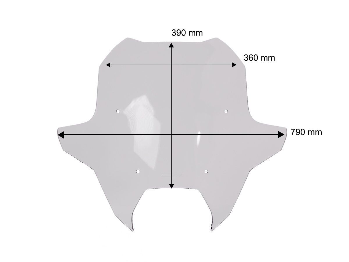 WRS WINDSCREEN SPORT BMW R1300RT D BM122FS