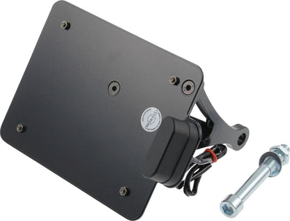 CULT WERK LICENSE PLATE CH VROD HD-ROD012-CH
