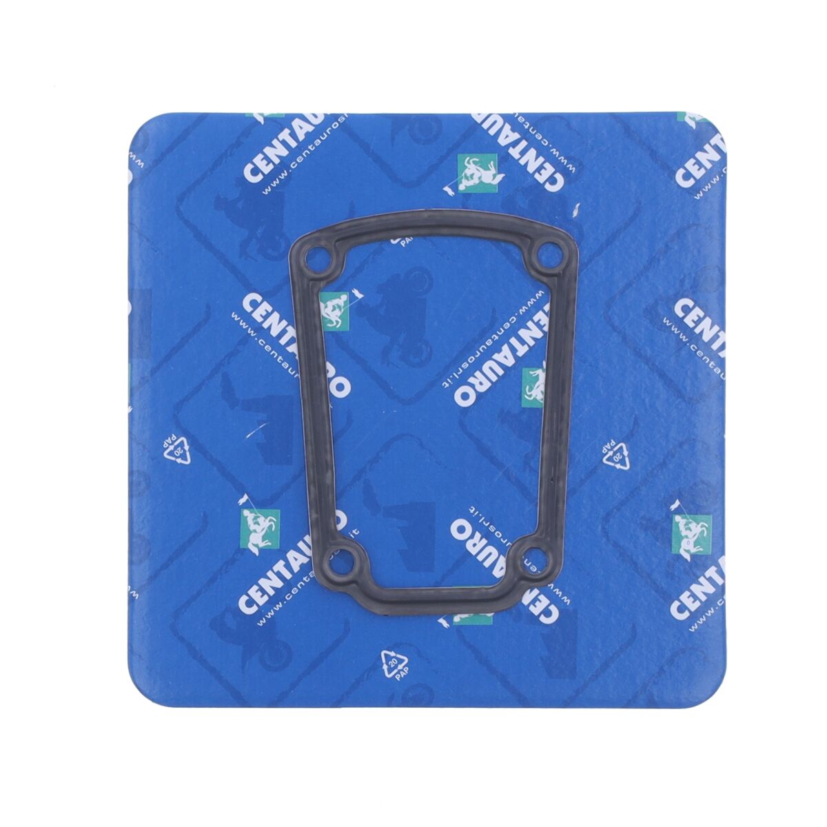 CENTAURO GASKET VALVE CVR DU/CG 574B02007