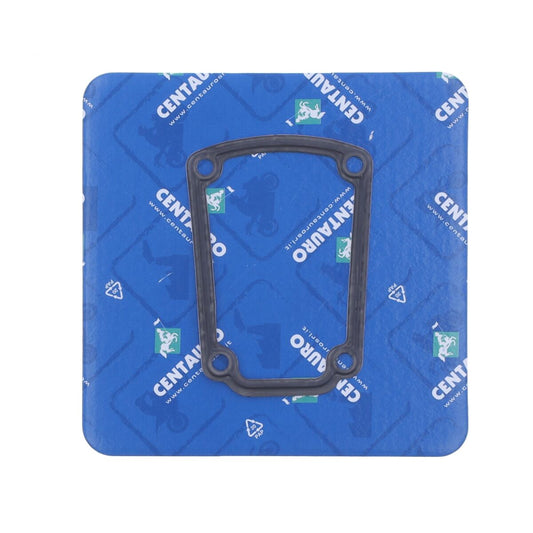 CENTAURO GASKET VALVE CVR DU/CG 574B02007
