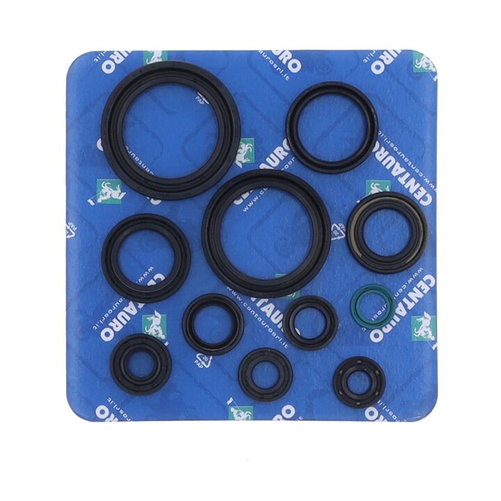 CENTAURO SEAL OIL HO 666A310SR